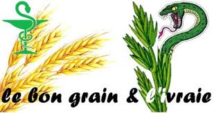 grain et ivraie.jpg