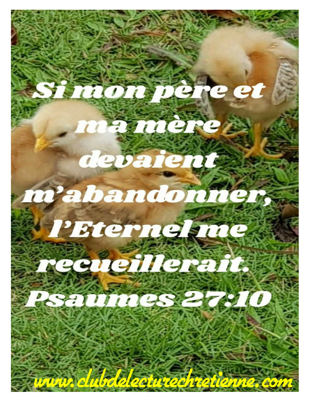 Psaumes 27.10