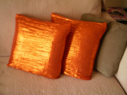 Coussin fluo.jpg