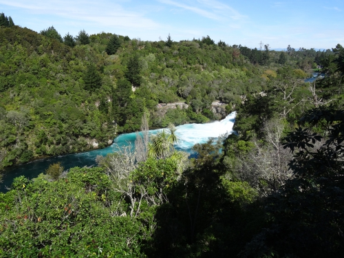 bleu turquoise la couleur preferee de grd pich.JPG