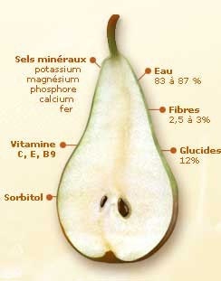 poire_qualitésNutritionnelle.jpg