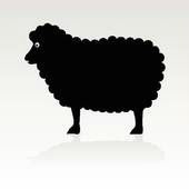 mouton noir.jpg