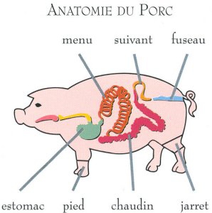 anatomie_du_porc.jpg