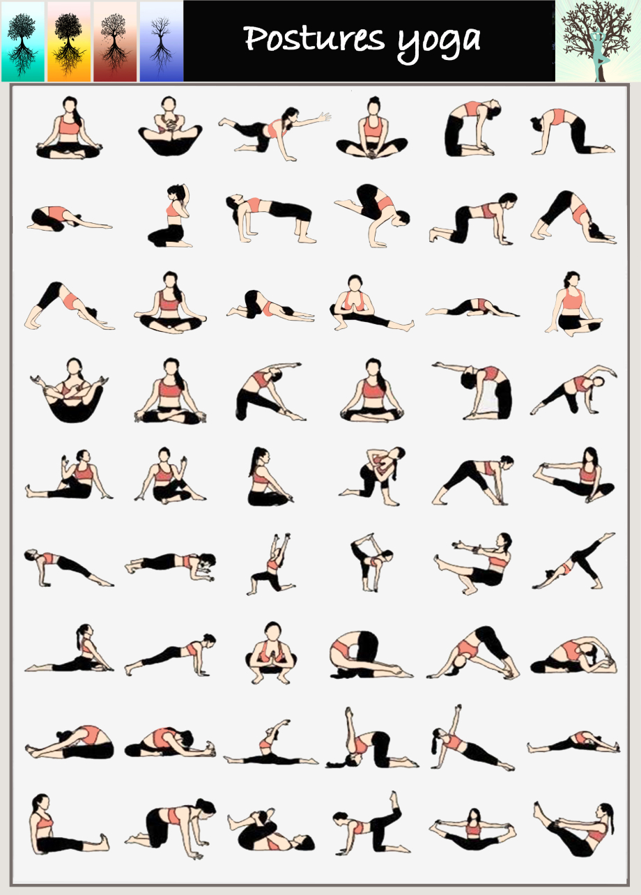Postures yoga.jpg