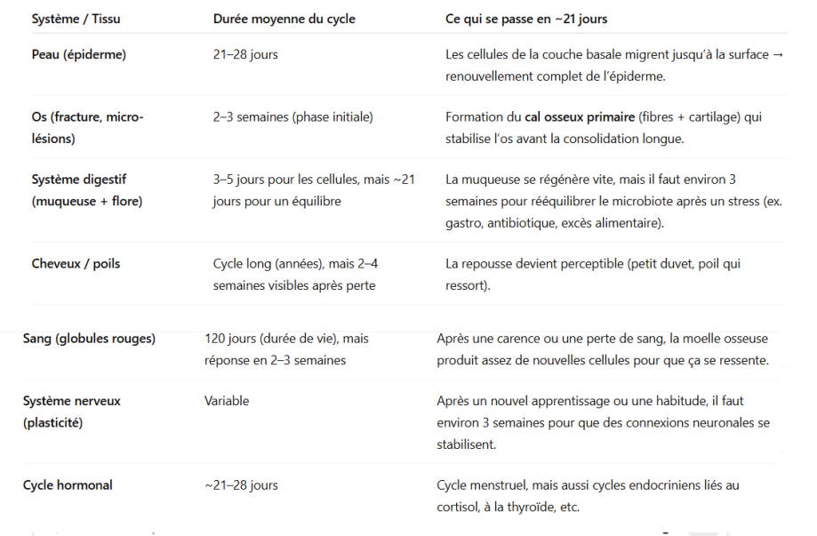 cycles de 21 j.jpg