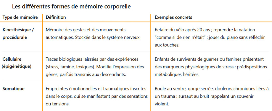 mémoire du corsp.jpg