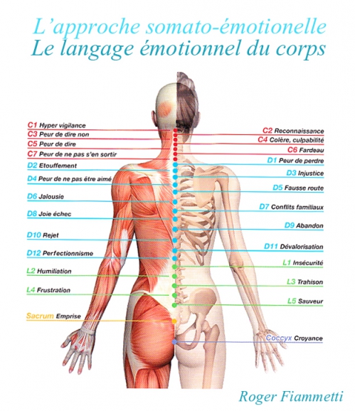 langage emotionnel du corps.jpg