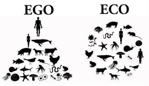 Ego-2-Eco.jpg