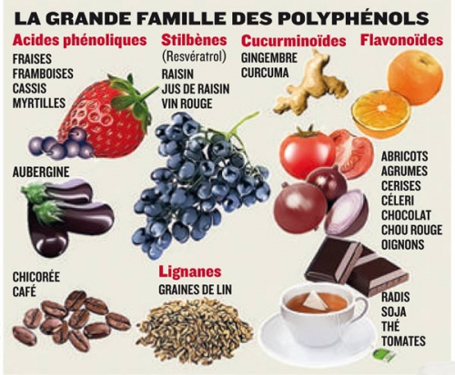 tableau-polyphenols.jpg