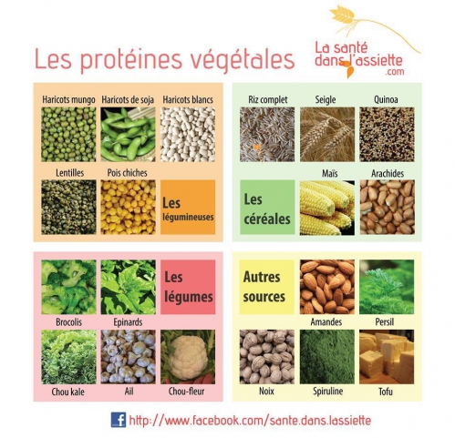 proteines végétals.jpg