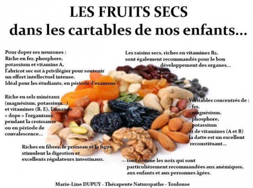 fruits secs.jpg