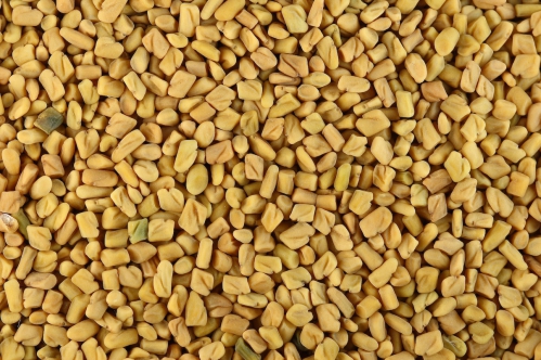 Fenugreek_seeds.jpg