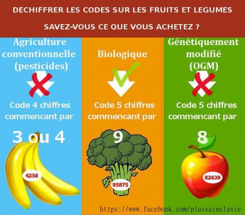 code fruit leg.jpg