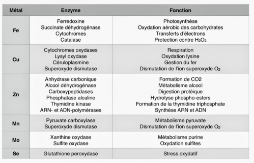 enzymes.jpg