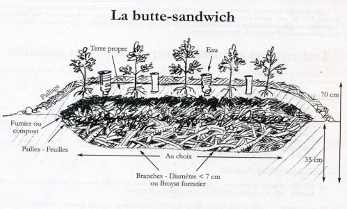 permaculture1.jpg