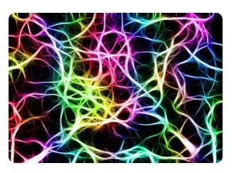 neurones-2.jpg