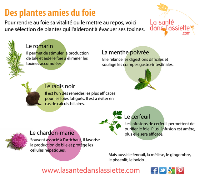 plantes-foie.png