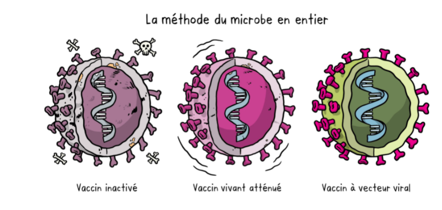 microbe-1.jpg