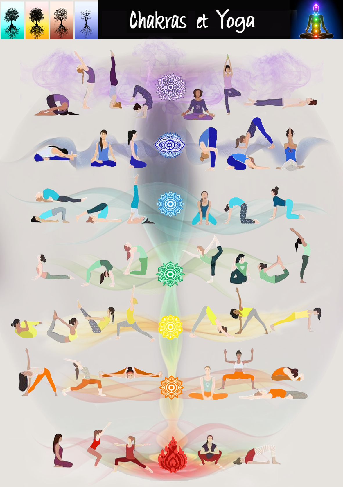 yoga Chakra.jpg