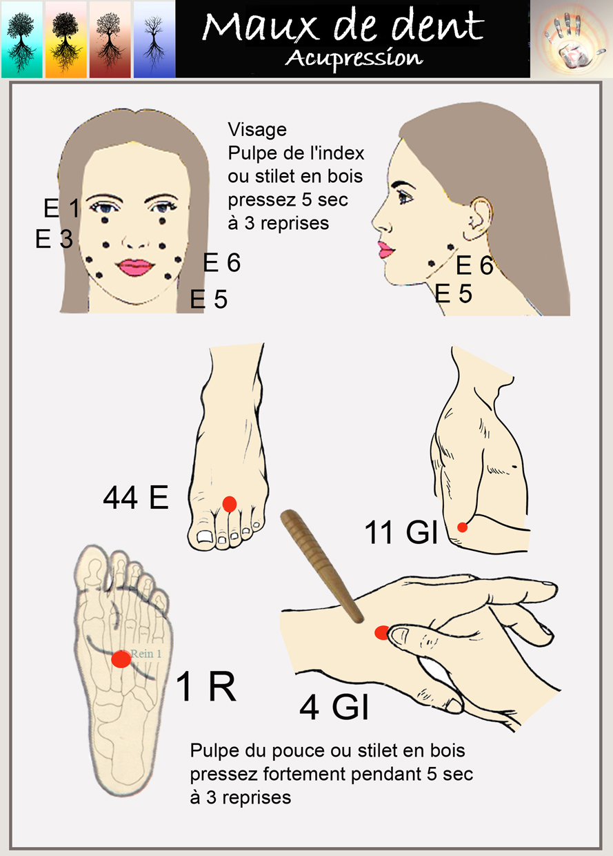 29 - Fiche acupression mx dent.jpg