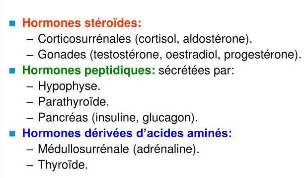hormones.jpg
