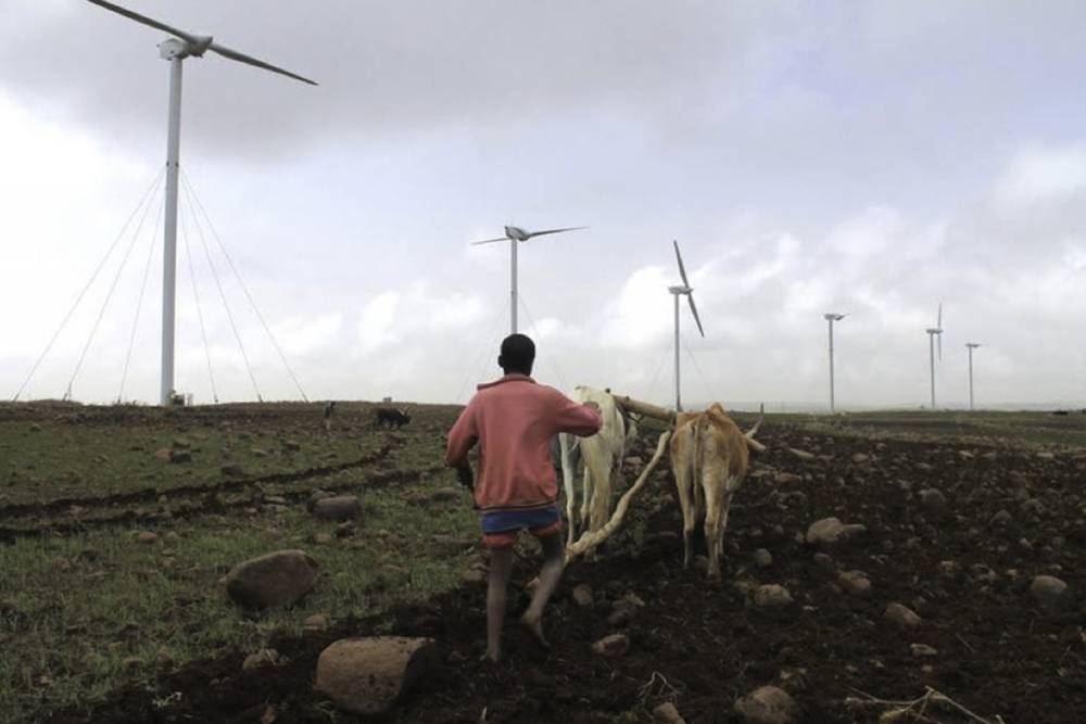 Agriculteur éthiopien - éolienne sur les hauteurs d'Adama au sud d'Addis Abeba juin 2015..jpg