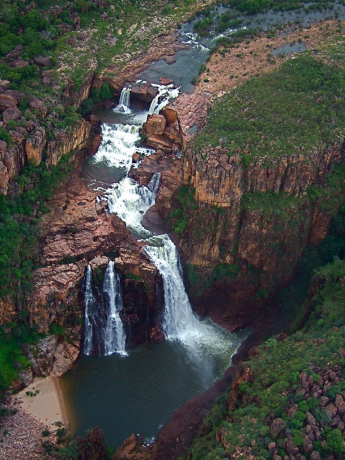 Kakadu.jpg