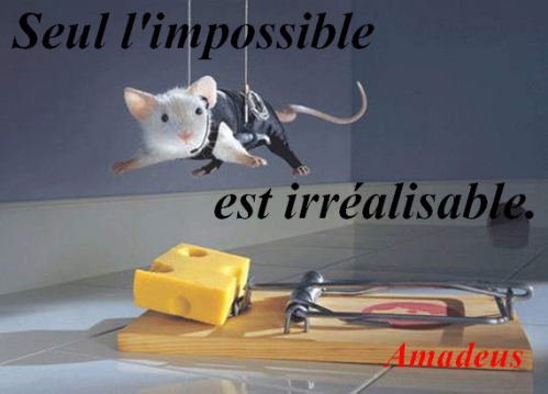 Seul l'impossible est irréalisable.jpg