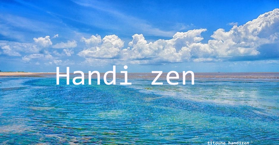 (c) Handi-zen.com
