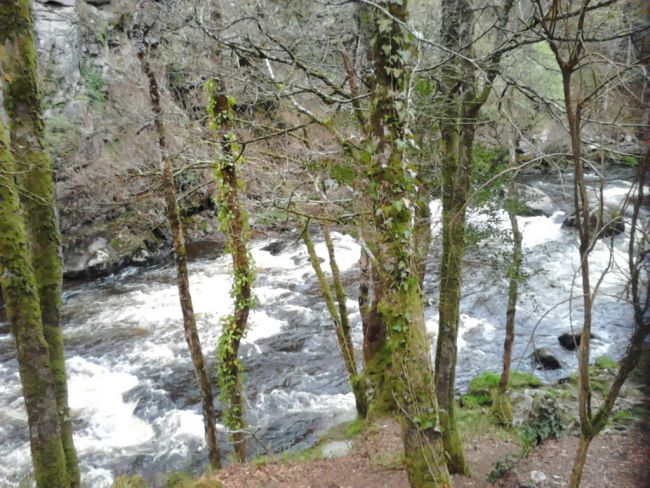 cours d'eau(jéjé)