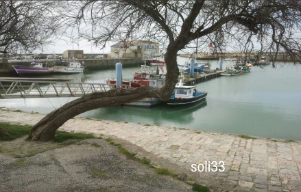 Estuaire de la gironde