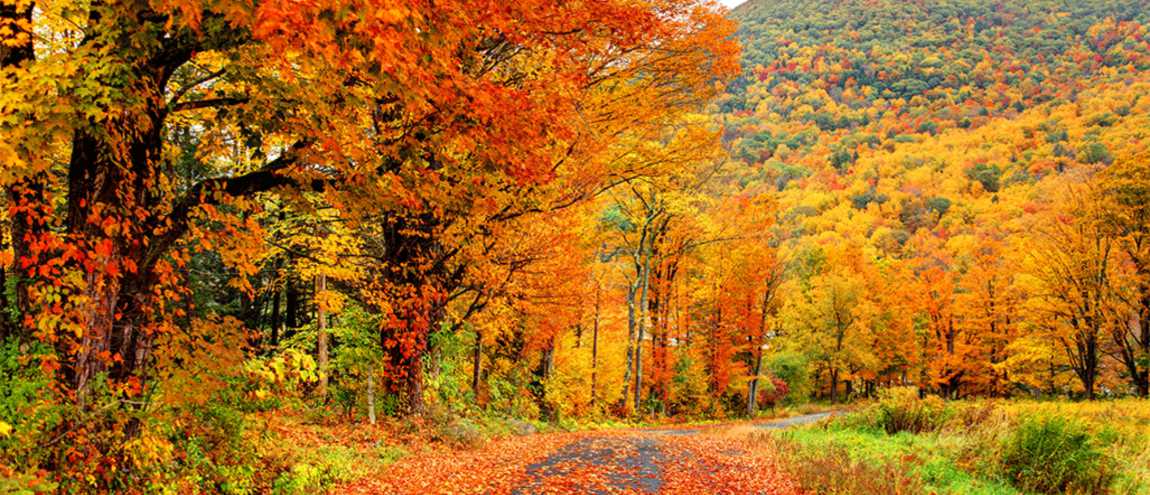 Jour d'automne.jpg