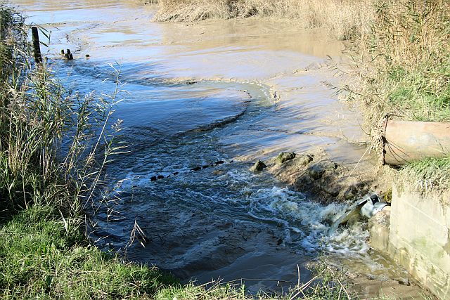 UTL lagunage 16 10 2020 7 Les eaux dépoluées en route vers la Charente.jpg