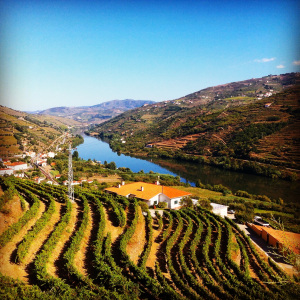 Vallée du Douro