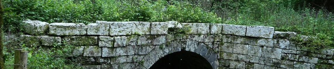 Geobiologie : Bourgogne Franche Comté, Santé de l'habitat