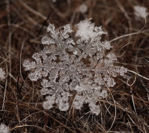 flocons-neige-loupe-macro-photographie-wikilinks-121.jpg