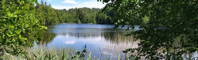 Les Étangs du Girmont : 100 Photos - Vosges, France | Randonnée | AllTrails