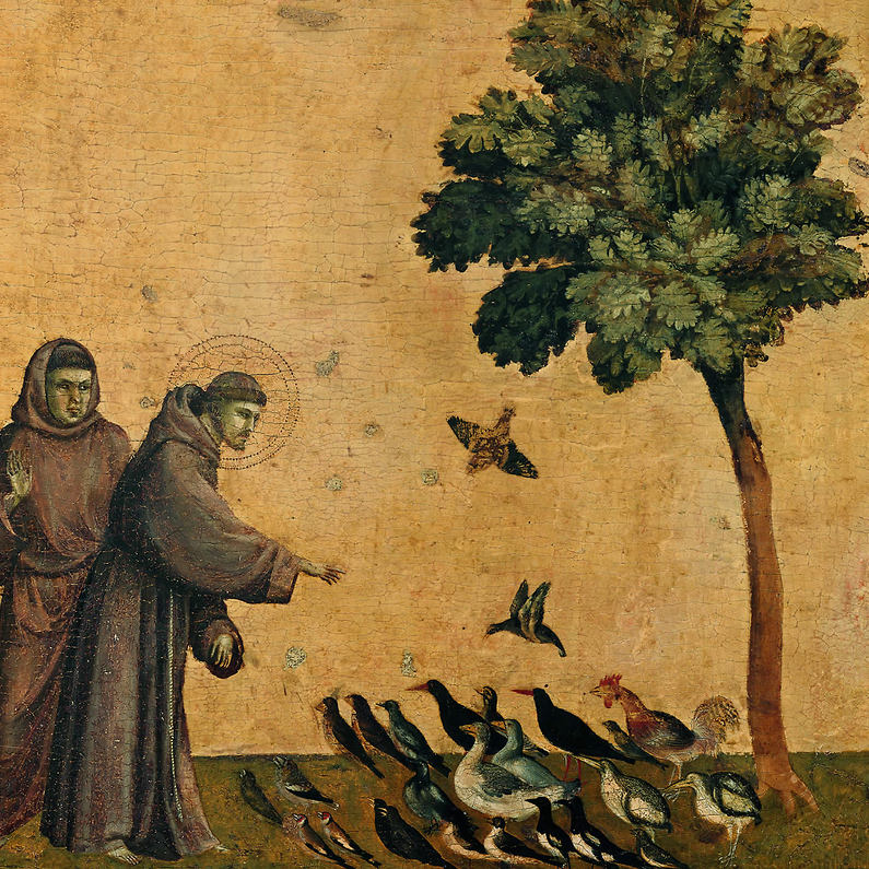 St François - Giotto