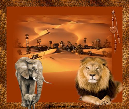 creation safari