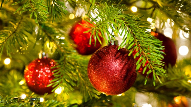 sapin-de-noel.jpg