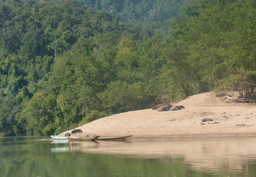 Laos decembre 2014 mong ngoi~05~01.jpg