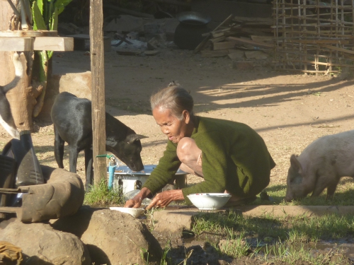 Laos decembre 2014  tad lo plateau des bolovens ~30.JPG