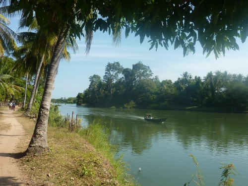 Laos decembre 2014  les 4000 îles ~51.JPG