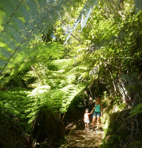 Nouvelle-Zélande île du sud parc Abel tasman ~26~01.jpg