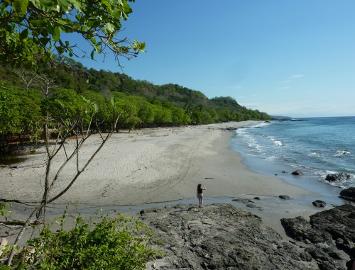 Costa Rica péninsule de nicoya montezuma~17~01.jpg