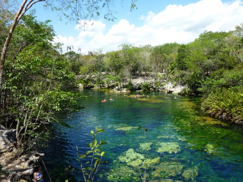 MEXIQUE MARS AVRIL 2015  Playa del Carmen  cenote jardin d'éden .JPG