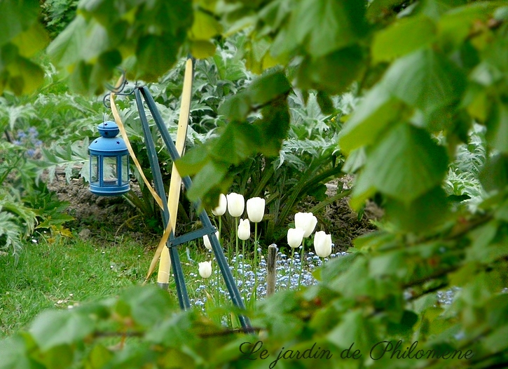 travux-jardin-tulipes1.jpg