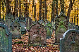 270px-Waibstadt_-_Jüdischer_Friedhof_-_ältester_Teil_-_Grabsteine_im_Herbstlaub.jpg
