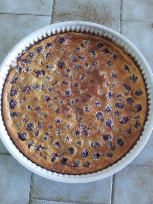 Clafouti aux cerises noires.jpg