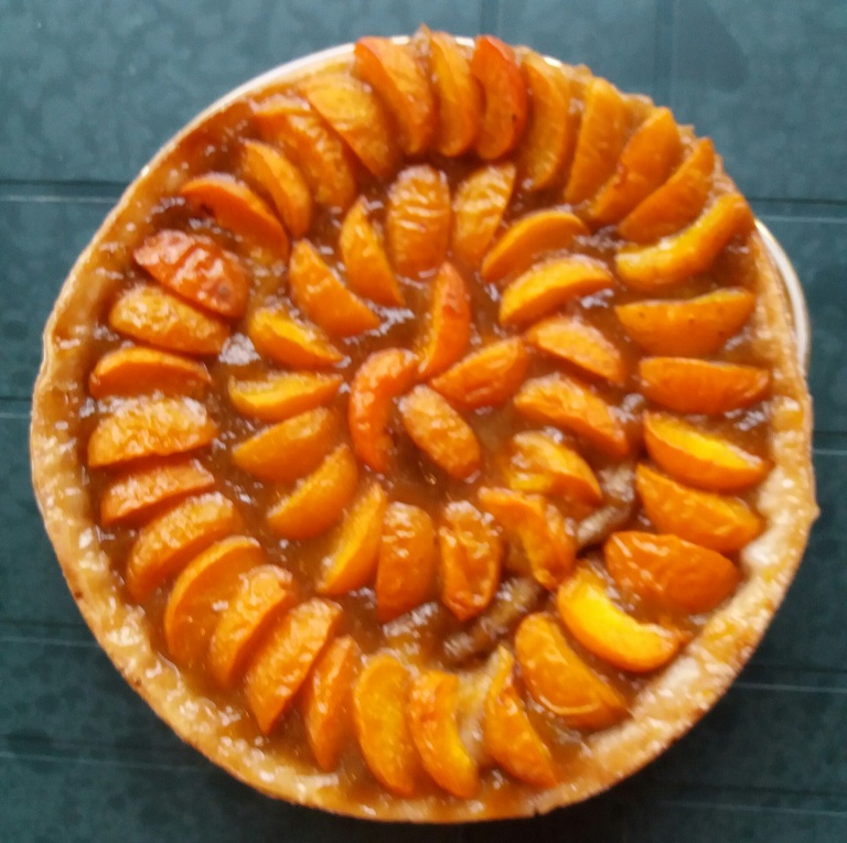 Tarte abricots rhubarbe.jpg